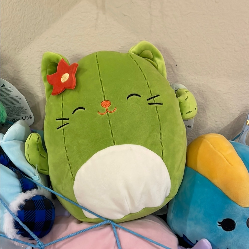 Squishmallows Ms. Miss Cactus Cat with Red Flower